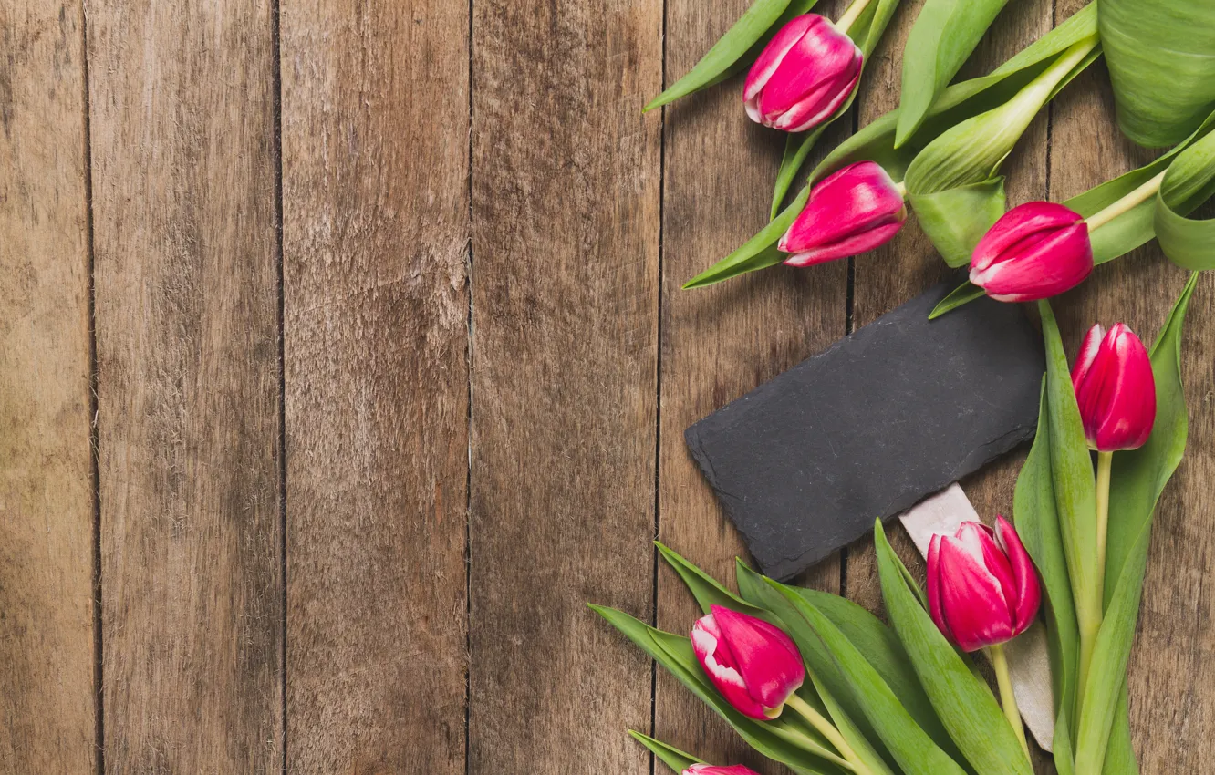 Photo wallpaper flowers, tulips, pink, fresh, wood, pink, flowers, tulips