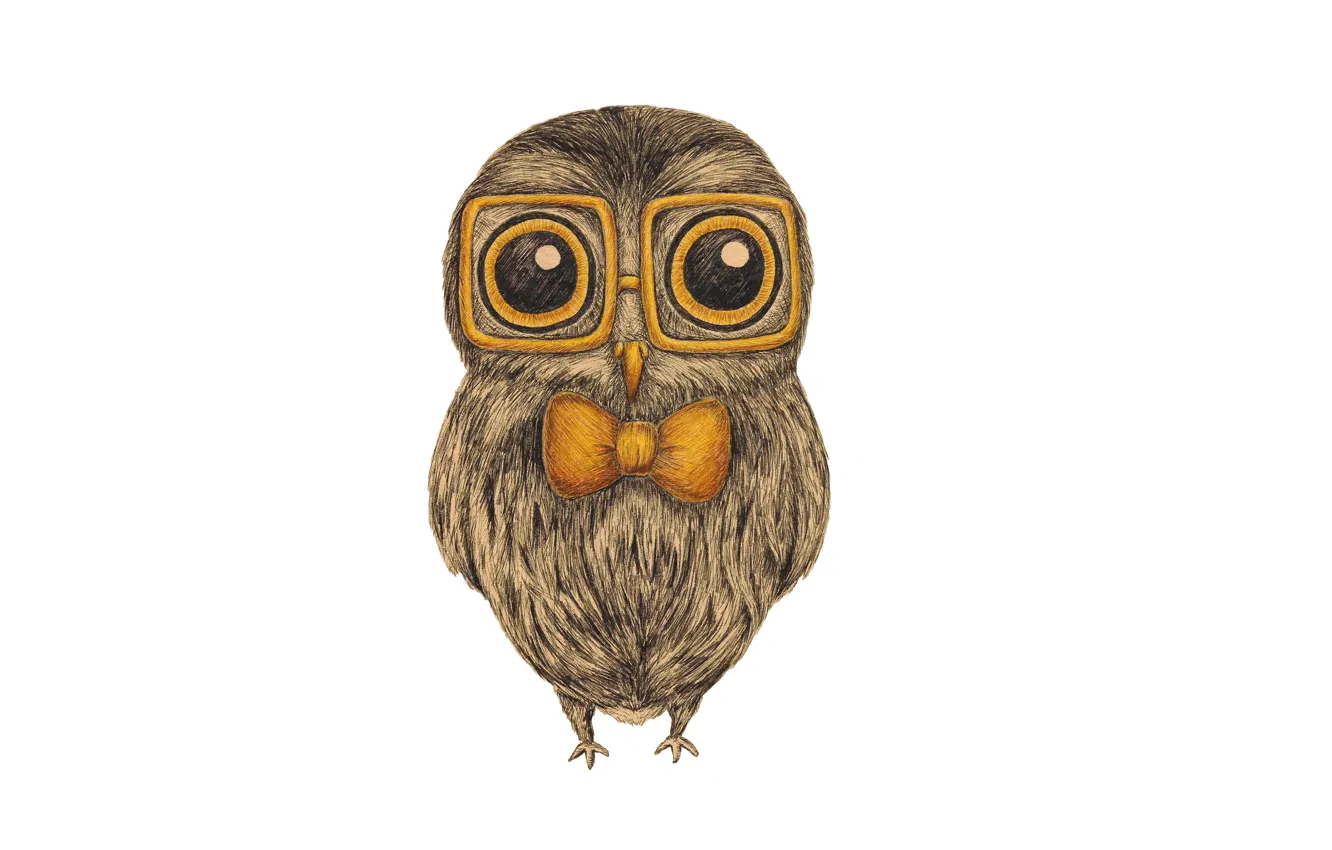 Photo wallpaper owl, bird, glasses, white background, painting, bow, bow, owl