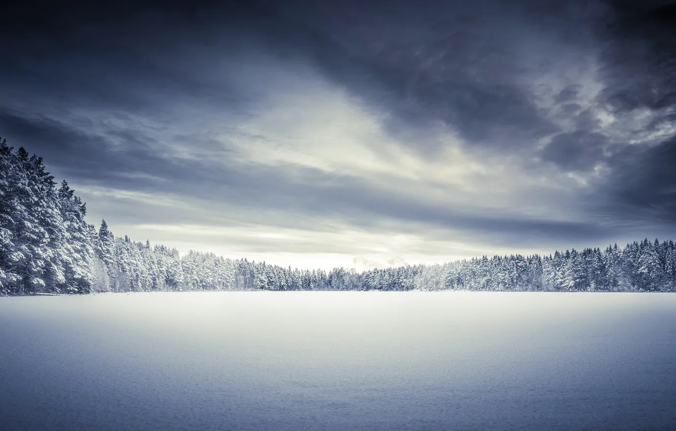Photo wallpaper winter, field, snow