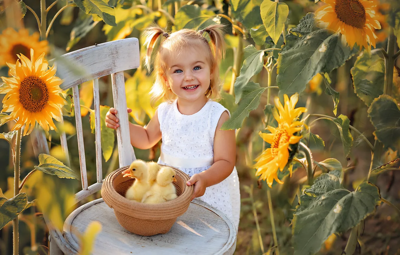 Photo wallpaper sunflowers, mood, chair, girl, hat, duck, Chicks, Alyona Volkova