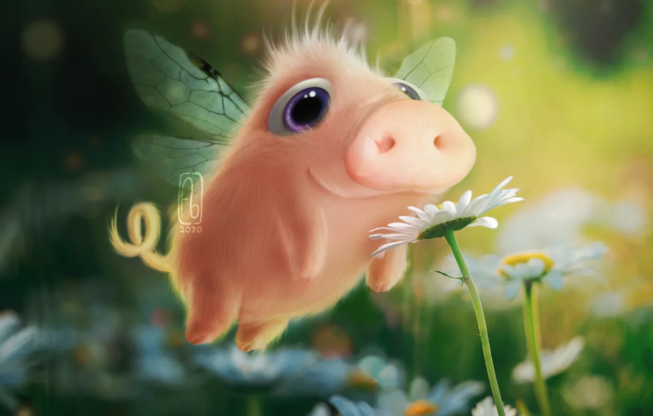 Photo wallpaper chamomile, fantasy, pig, Krida, by Florianne Becker
