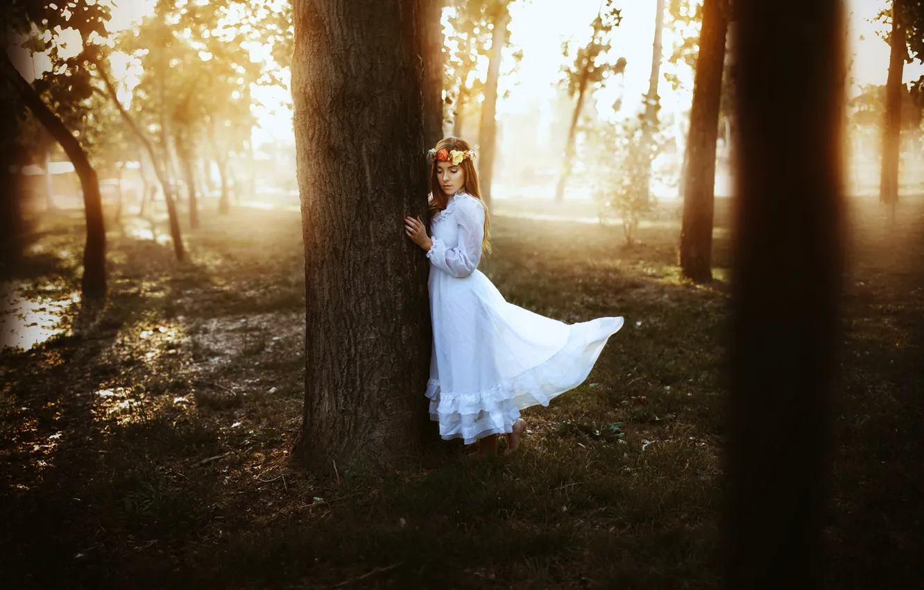 Photo wallpaper girl, tree, dress, Ronny Garcia
