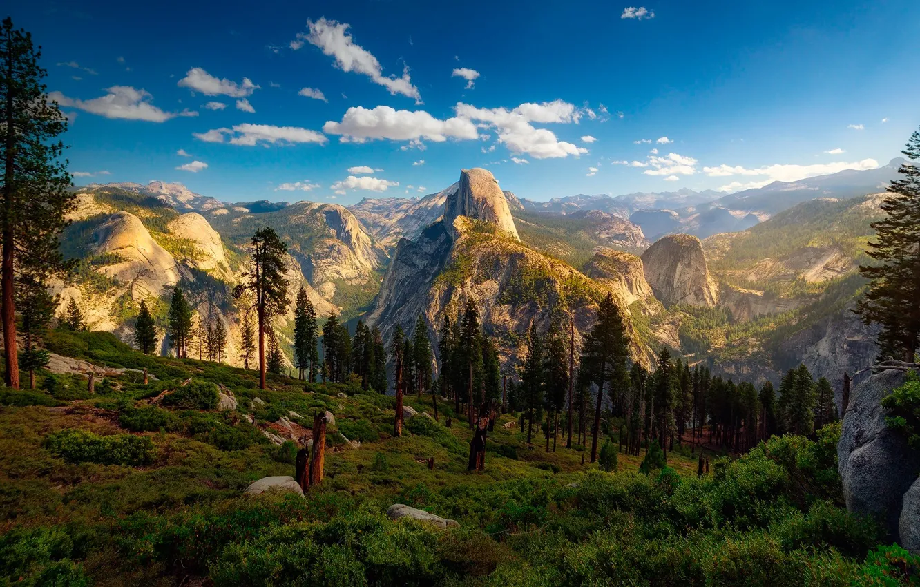 Photo wallpaper forest, the sky, clouds, mountains, CA, USA, Yosemite national Park