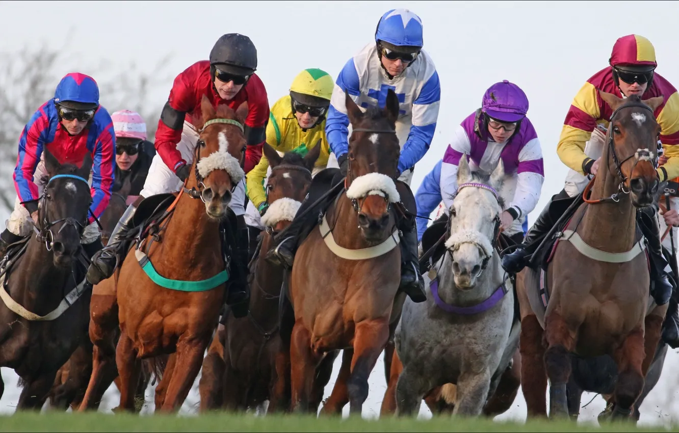 Photo wallpaper sport, horse, speed, speed, horses, Sport, other, other