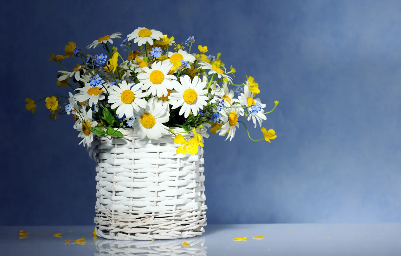 Photo wallpaper flowers, chamomile, bouquet, basket