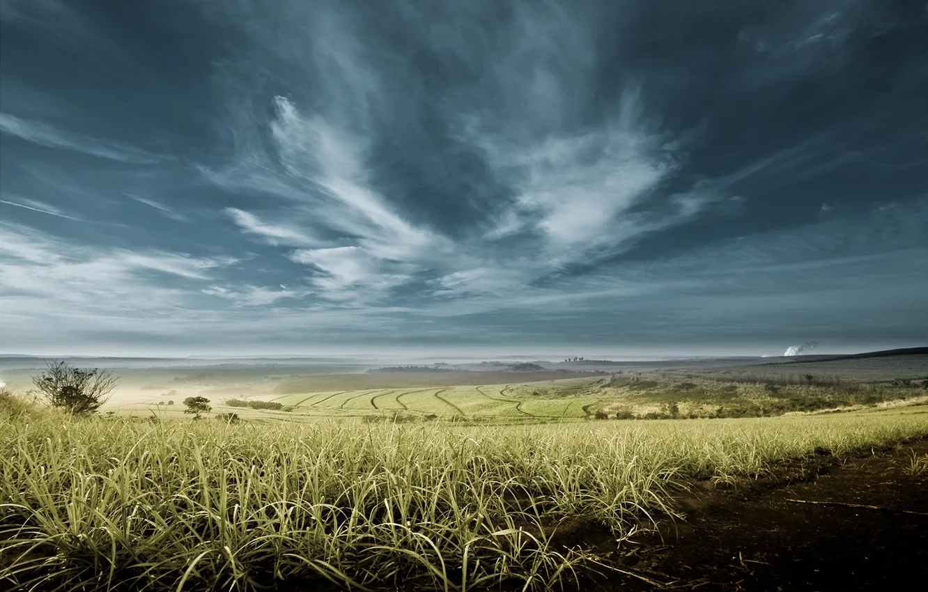 Photo wallpaper field, the sky, clouds