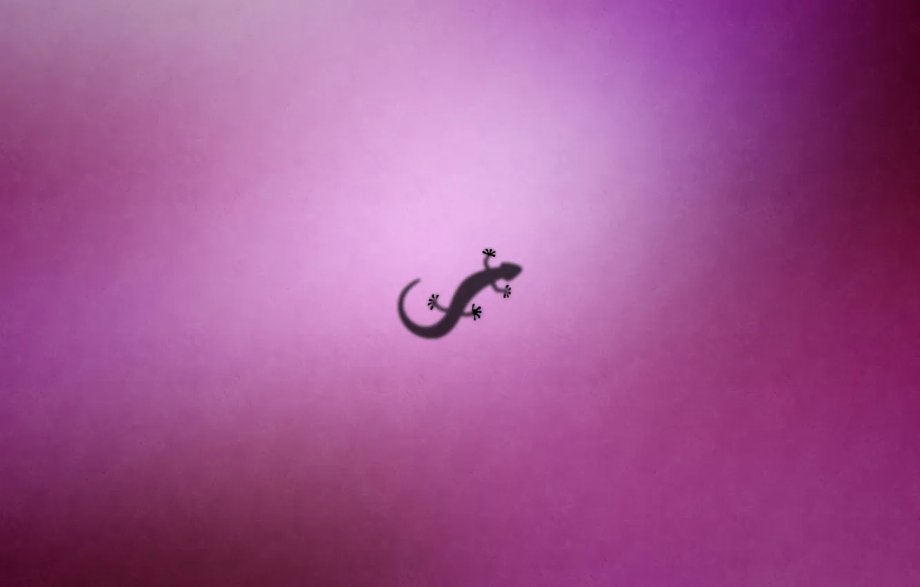 Photo wallpaper lizard, and to pas de lezard, gikon
