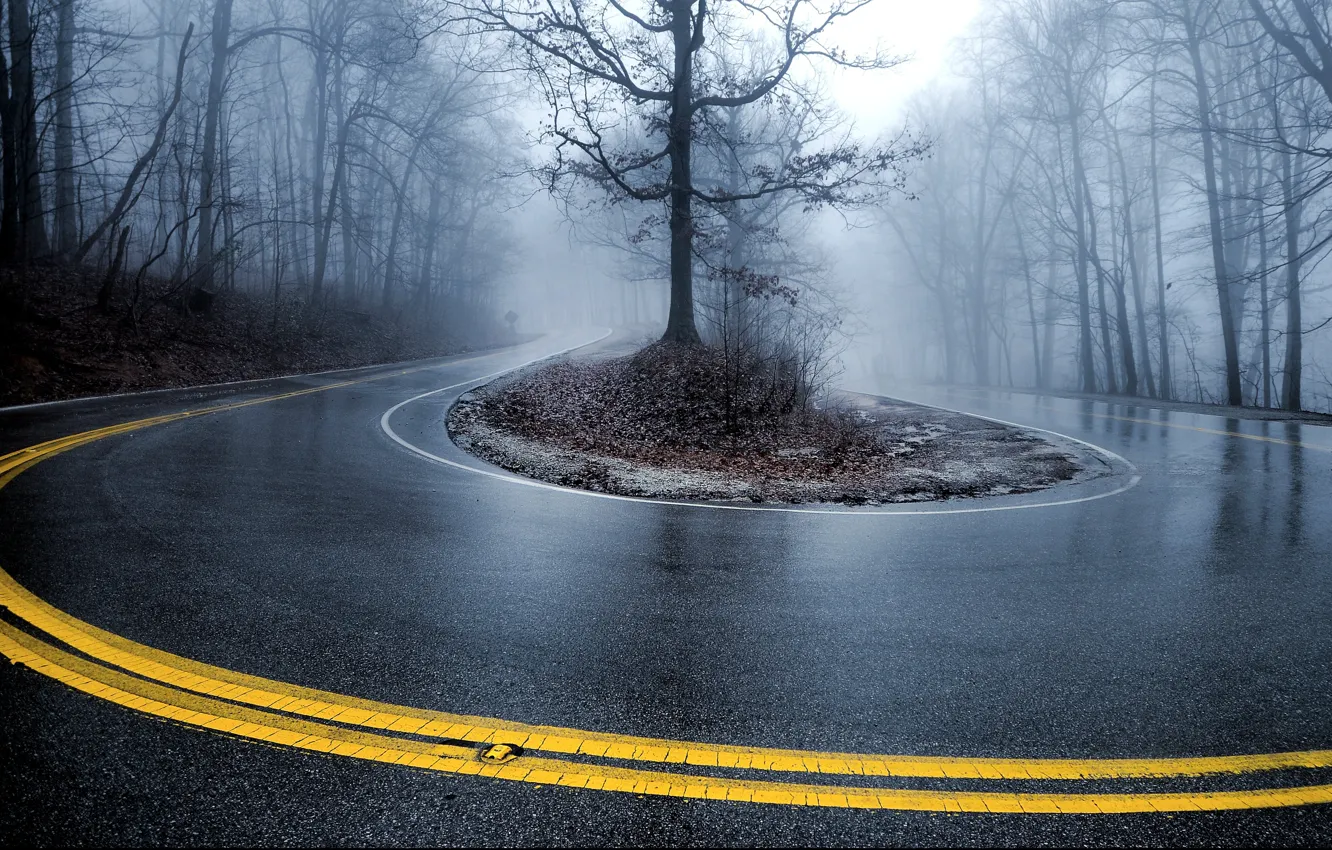 Photo wallpaper road, fog, Trees, turn