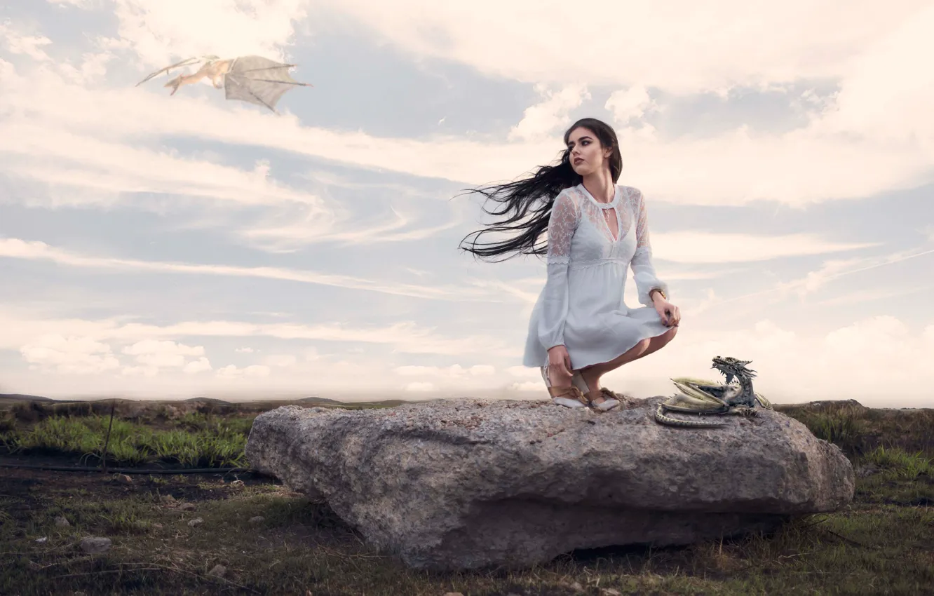 Photo wallpaper girl, stones, dragon, the situation, dragon