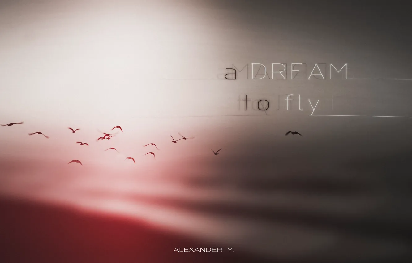 Photo wallpaper dream, minimal, fly, alexander y