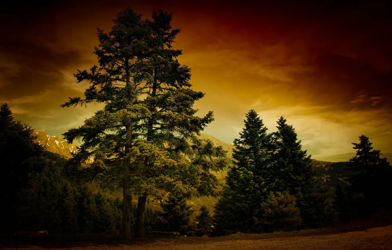 Photo wallpaper landscape, night, nature