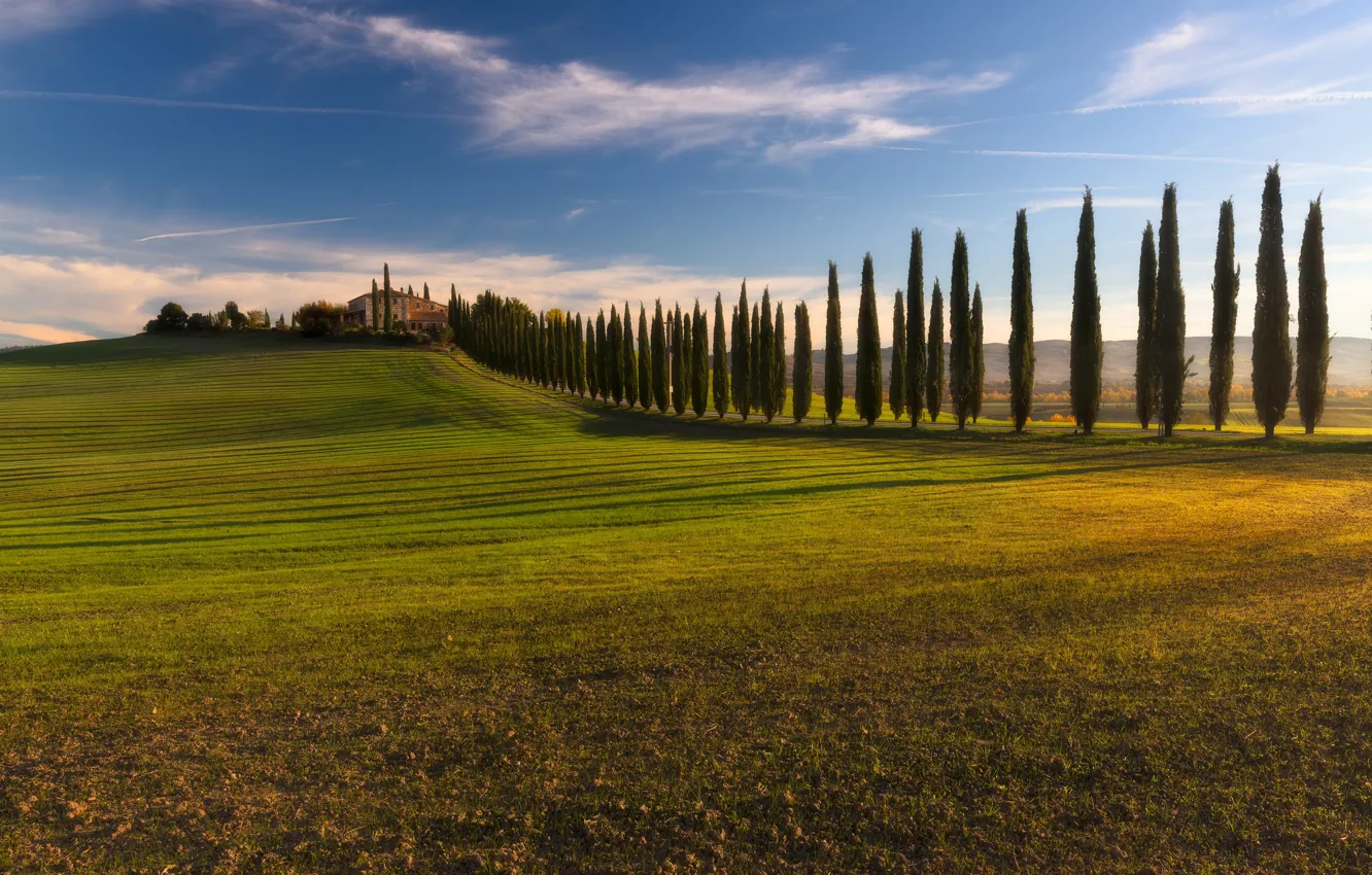 Photo wallpaper field, Italy, cypress, Tuscany