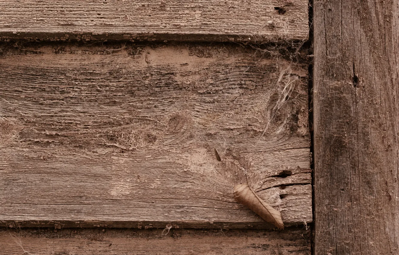 Photo wallpaper dirt, Earth, wood, door