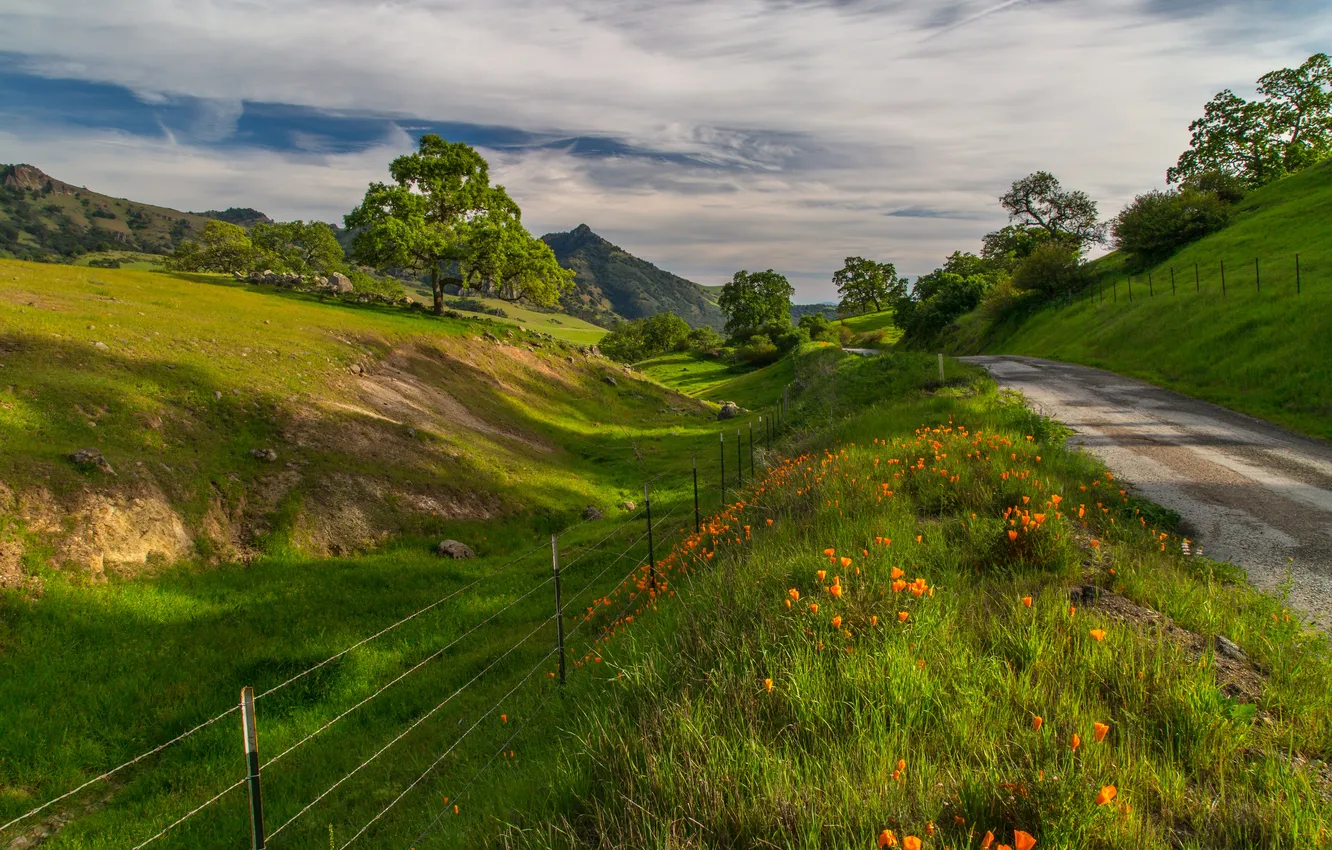 Photo wallpaper road, summer, grass, trees, flowers, mountains, the fence