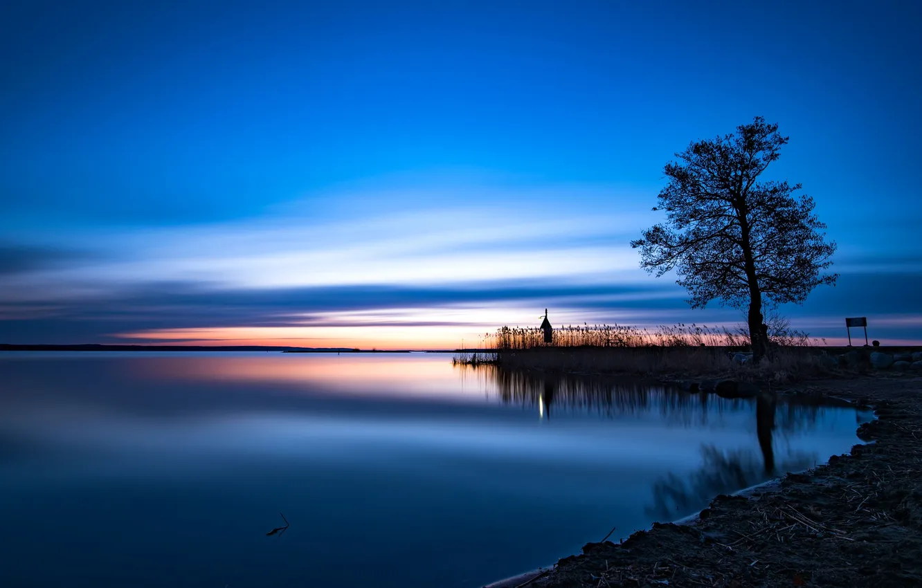 Photo wallpaper lake, tree, dawn, glow