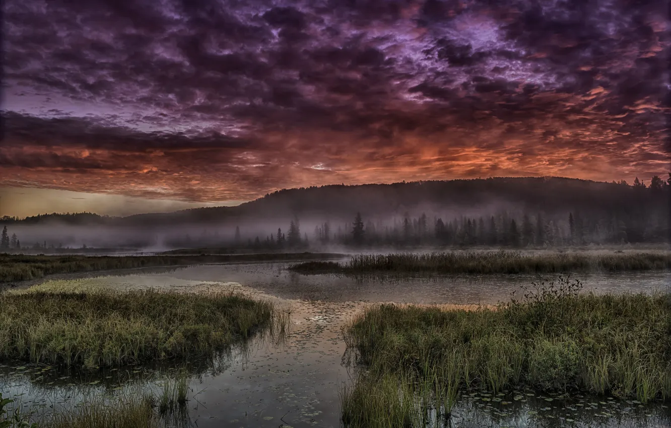 Photo wallpaper clouds, fog, river, sunrise, hills, the bushes
