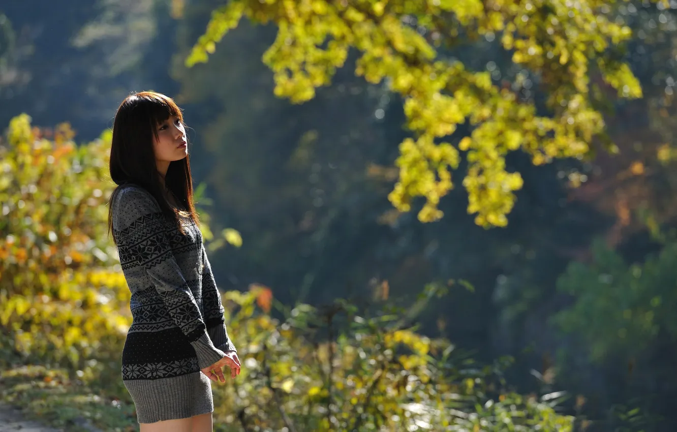 Photo wallpaper sweater, bokeh, sunlight, Oriental girl