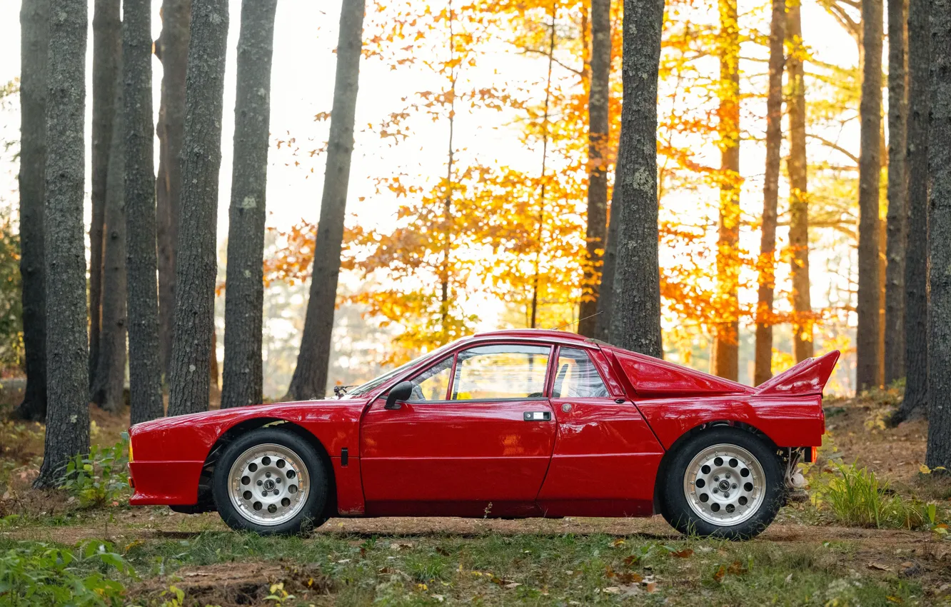 Photo wallpaper Lancia, Rally, 1982, side view, Lancia Rall Stradale 037 Stradale