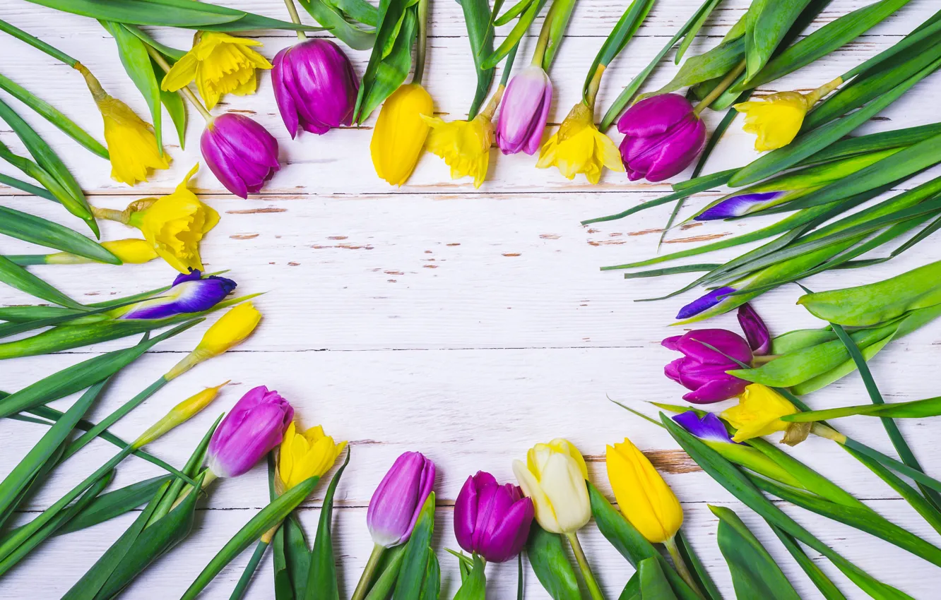Photo wallpaper flowers, tulips, yellow, flowers, tulips, purple, frame
