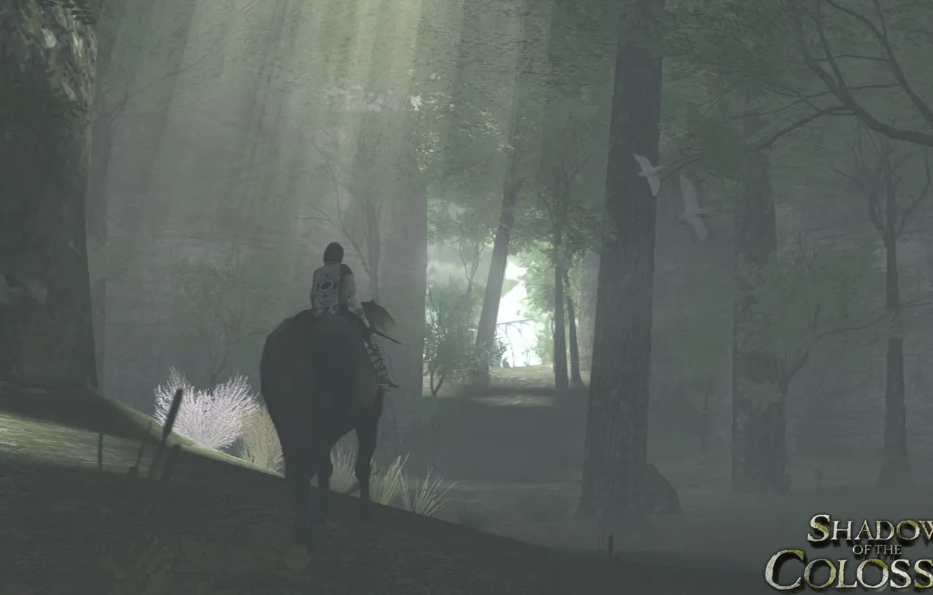 Photo wallpaper forest, warrior, Shadow Of The Colossus, Wander, Shadow of the Colossus