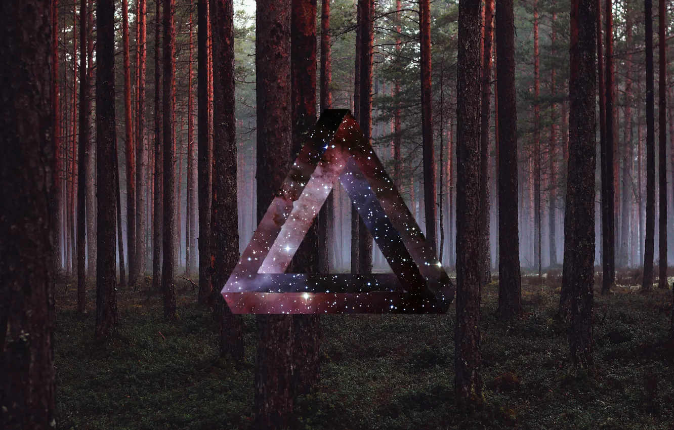Photo wallpaper forest, space, triangle