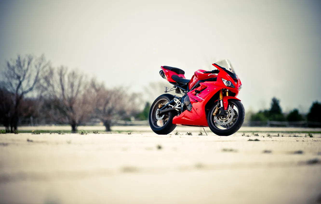 Photo wallpaper the sky, trees, red, motorcycle, red, bike, Triumph, triumph