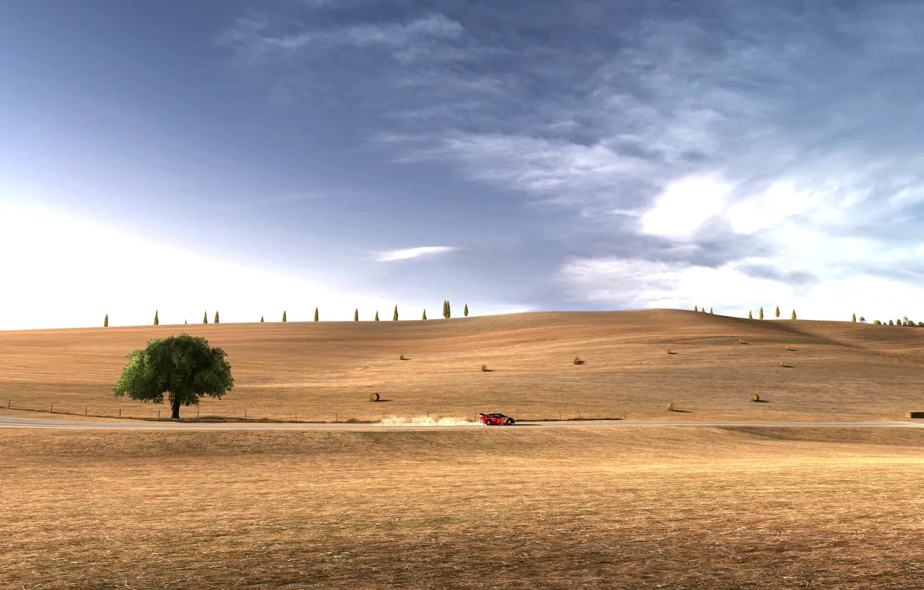 Photo wallpaper the sky, trees, desert, WRC, Rally, Rally, Doroga, ciroen