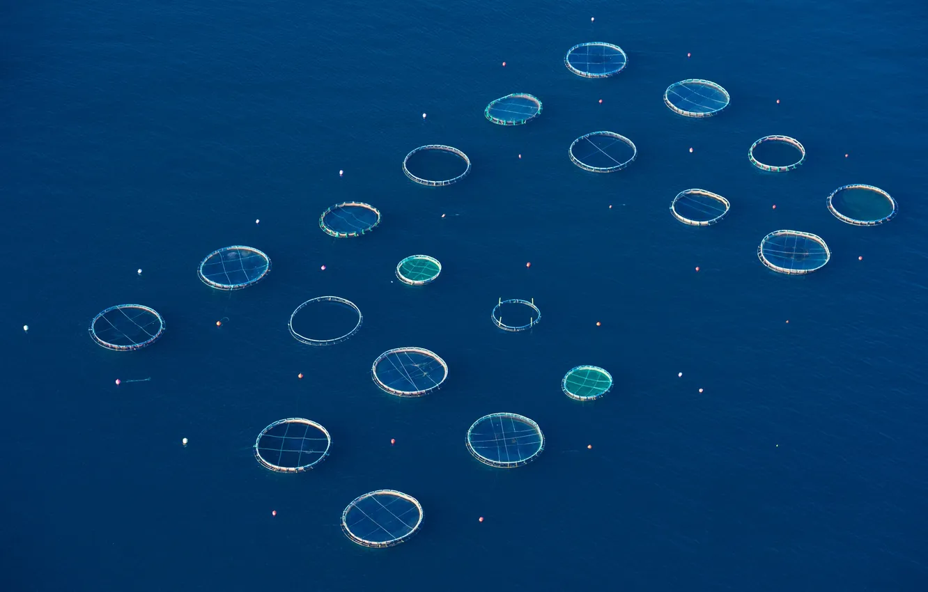 Photo wallpaper sea, France, Corsica, fish farm