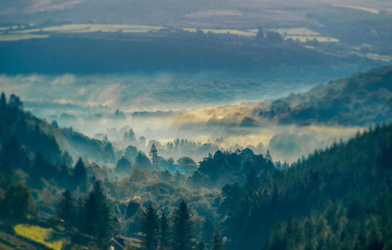 Photo wallpaper trees, mountains, fog, hills, haze