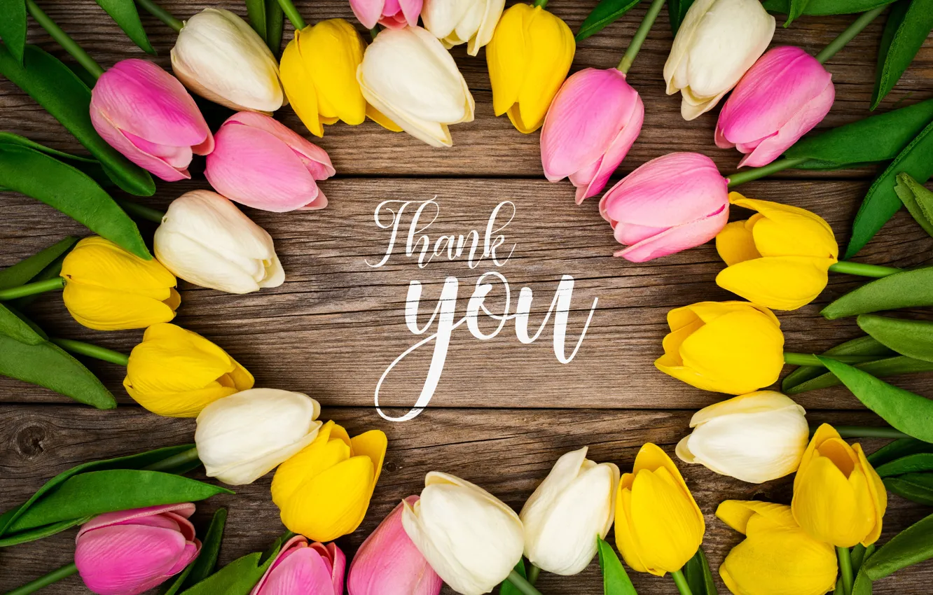 Photo wallpaper leaves, flowers, yellow, birthday, holiday, the inscription, Board, bouquet