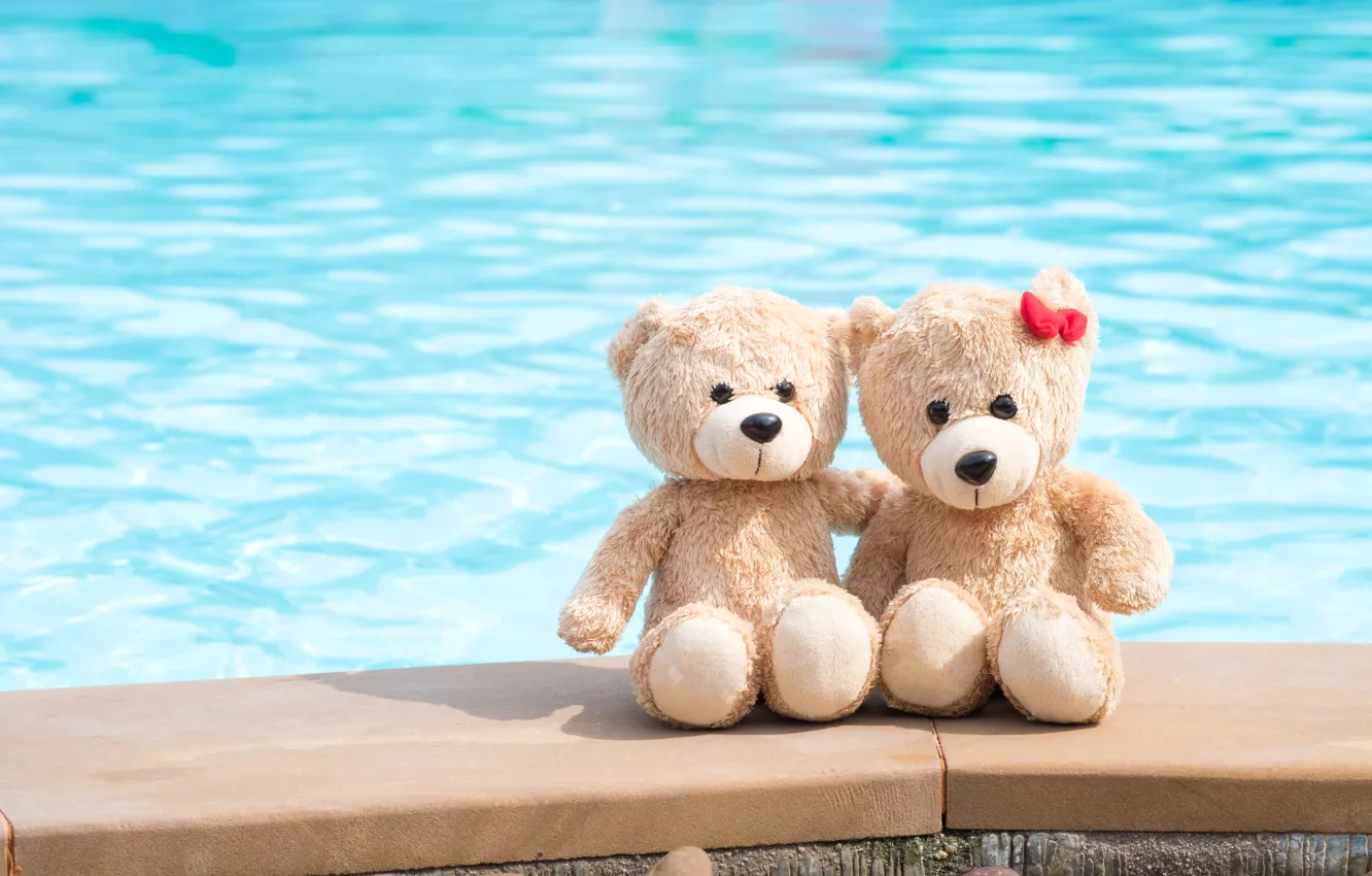 Photo wallpaper sea, beach, love, toy, bear, bear, pair, love