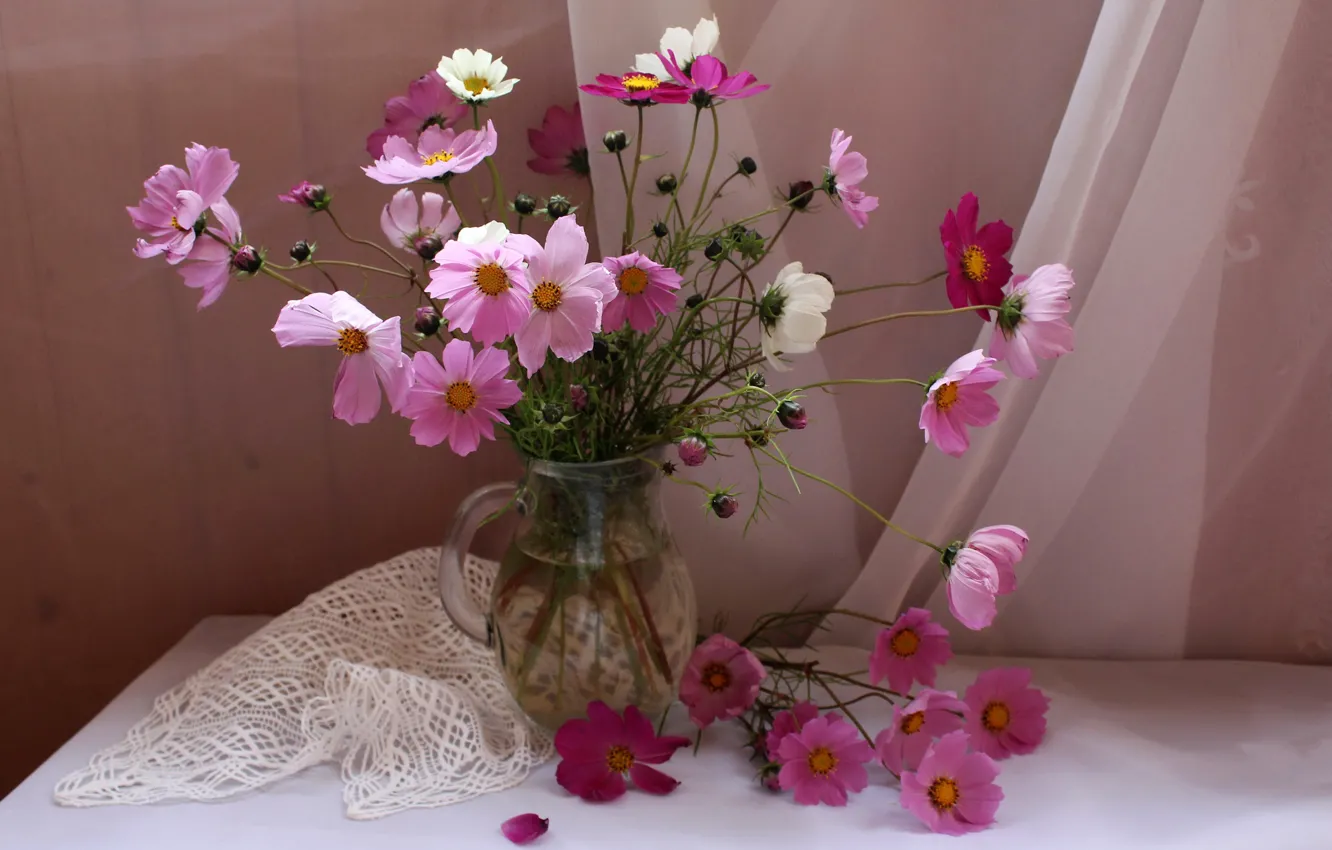 Photo wallpaper flowers, table, vase, pink, still life, tablecloth, tulle, kosmeya