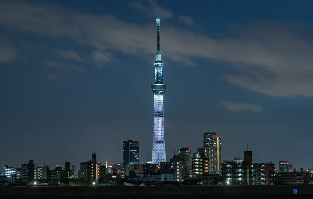 Photo wallpaper the sky, lights, tower, the evening