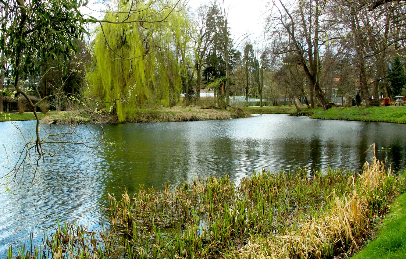Photo wallpaper park, lake, pond