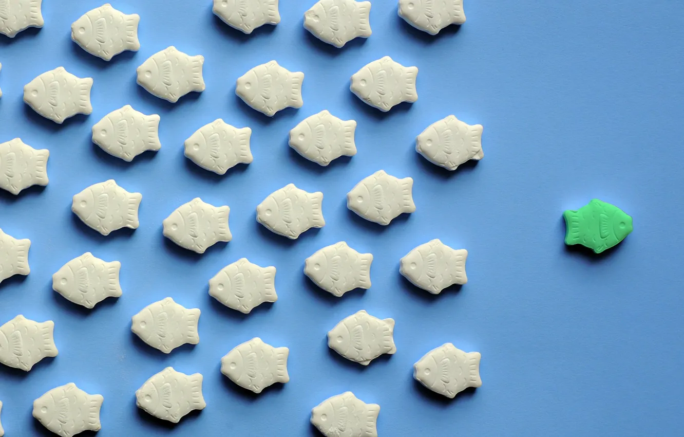 Photo wallpaper fish, background, color, form