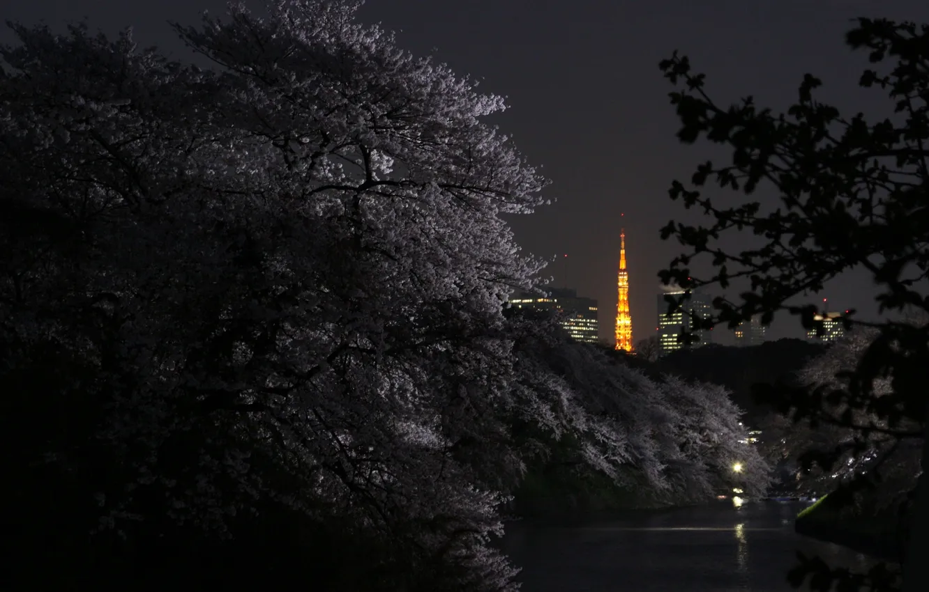 Photo wallpaper night, the city, river, spring, Sakura, Tokyo, flowering