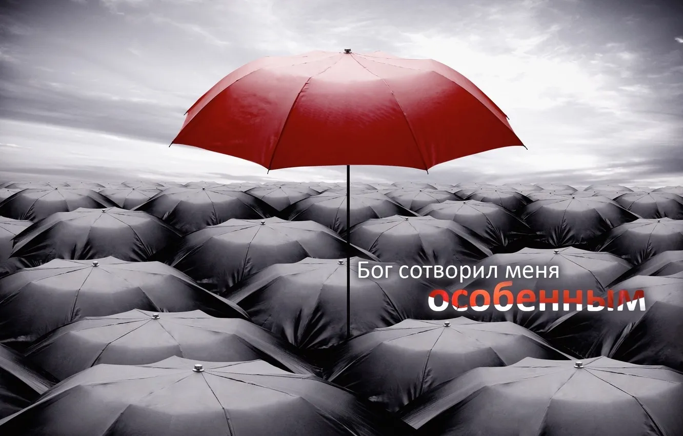 Photo wallpaper the inscription, Wallpaper, umbrella, different