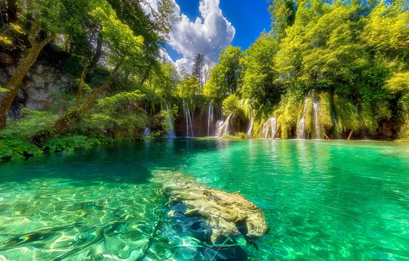 Photo wallpaper greens, forest, the sky, the sun, clouds, trees, lake, waterfall