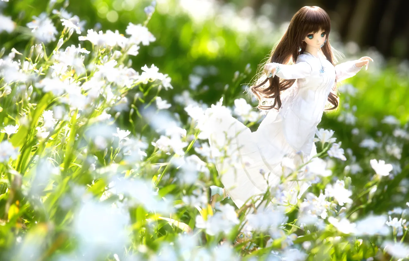 Photo wallpaper flowers, mood, toy, doll