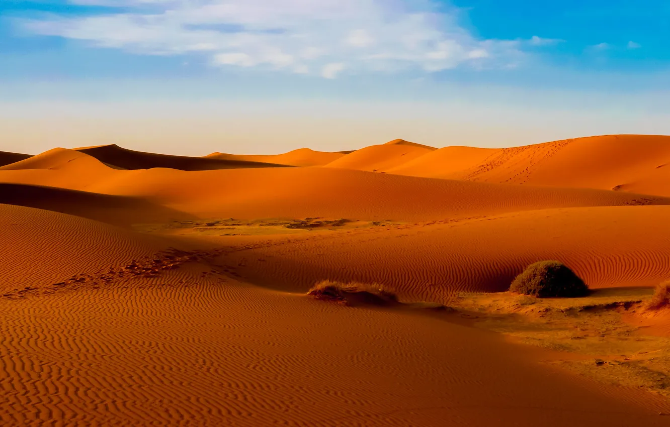 Photo wallpaper sand, the sky, clouds, desert, barkhan