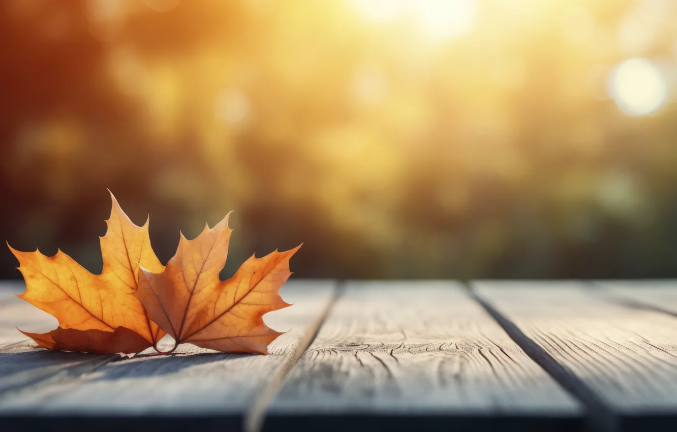 Photo wallpaper autumn, leaves, Park, background, forest, park, background, autumn