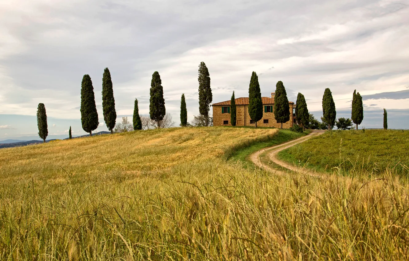 Photo wallpaper field, the sky, trees, house, hill, Italy, Pienza, Siena