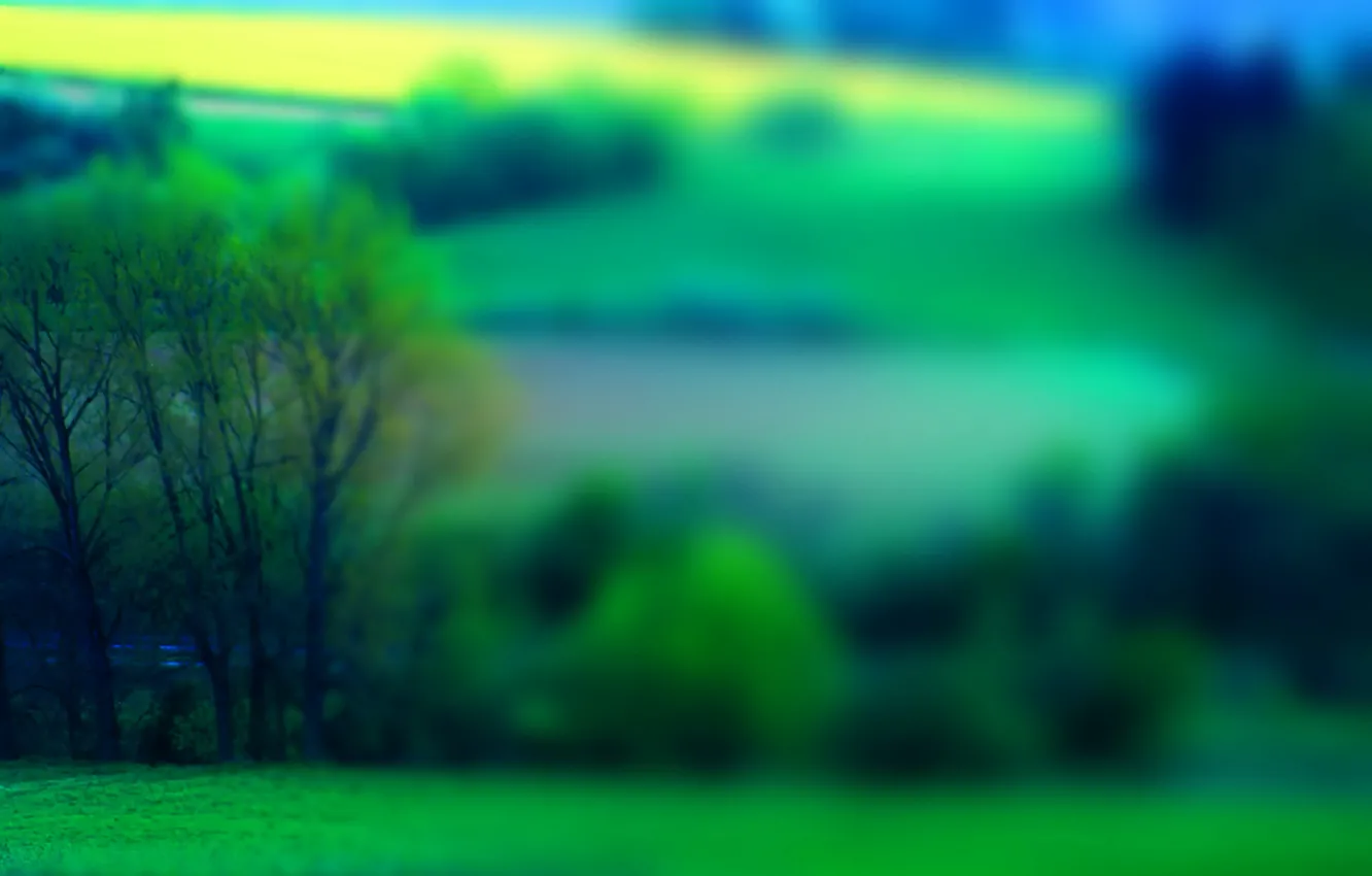 Photo wallpaper field, grass, trees, landscape