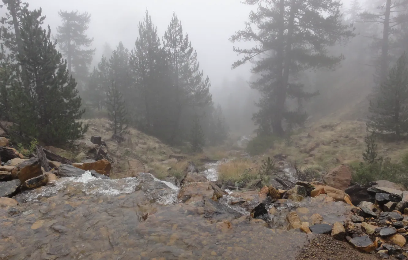 Photo wallpaper fog, Valia Calda, Grevena