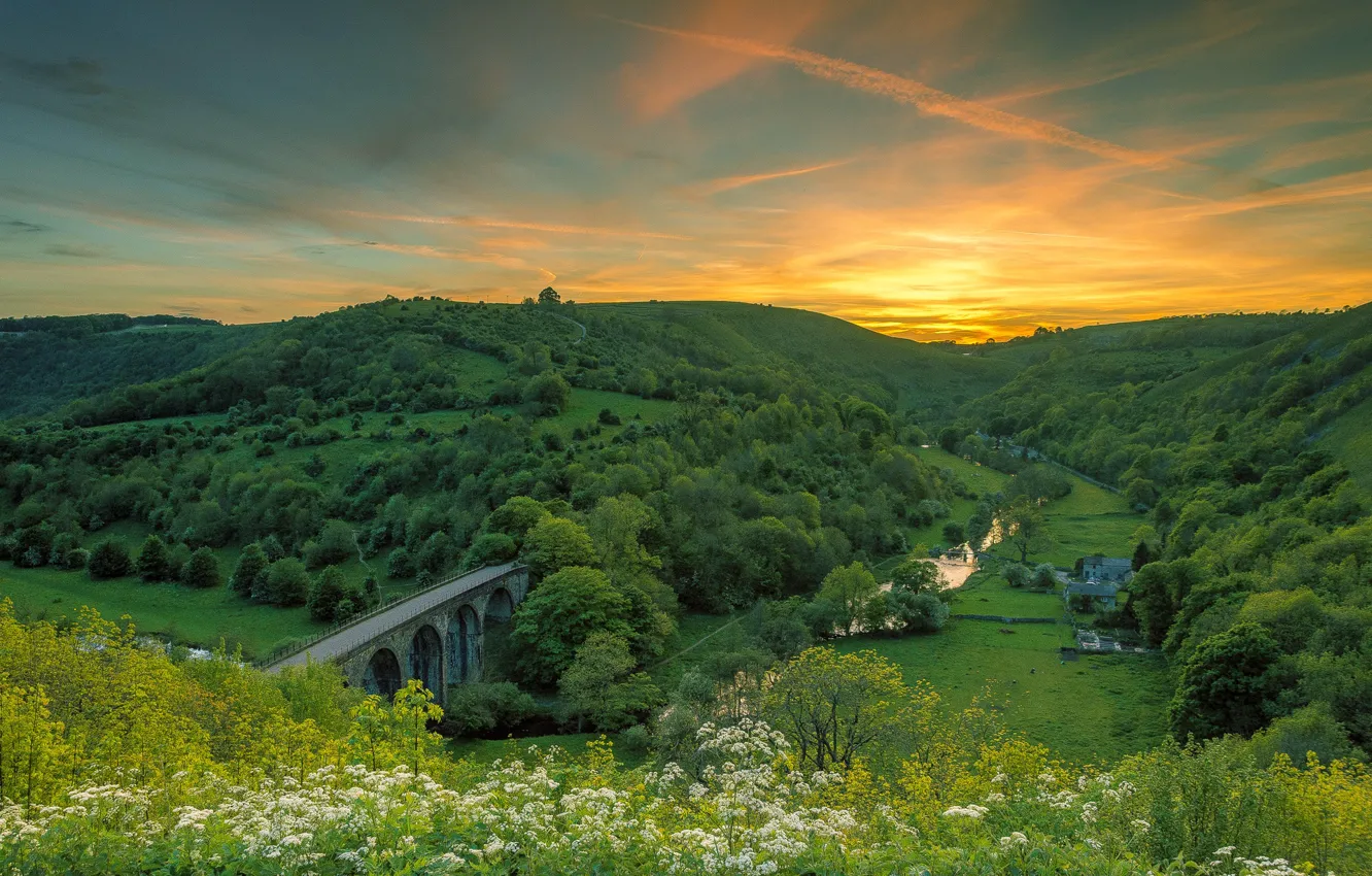 Photo wallpaper bridge, river, sunrise, hills, valley, oak forest