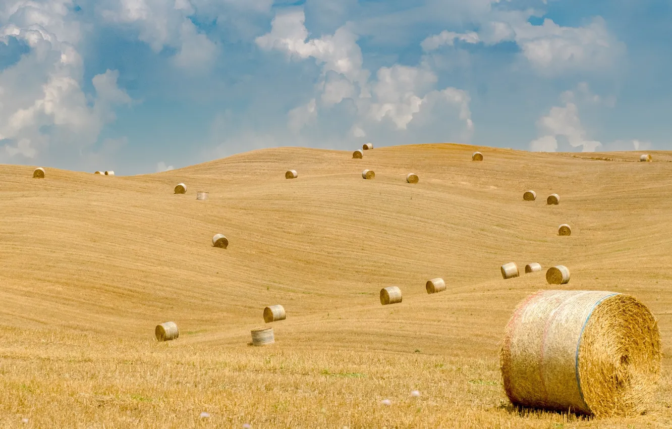 Photo wallpaper field, hay, bales
