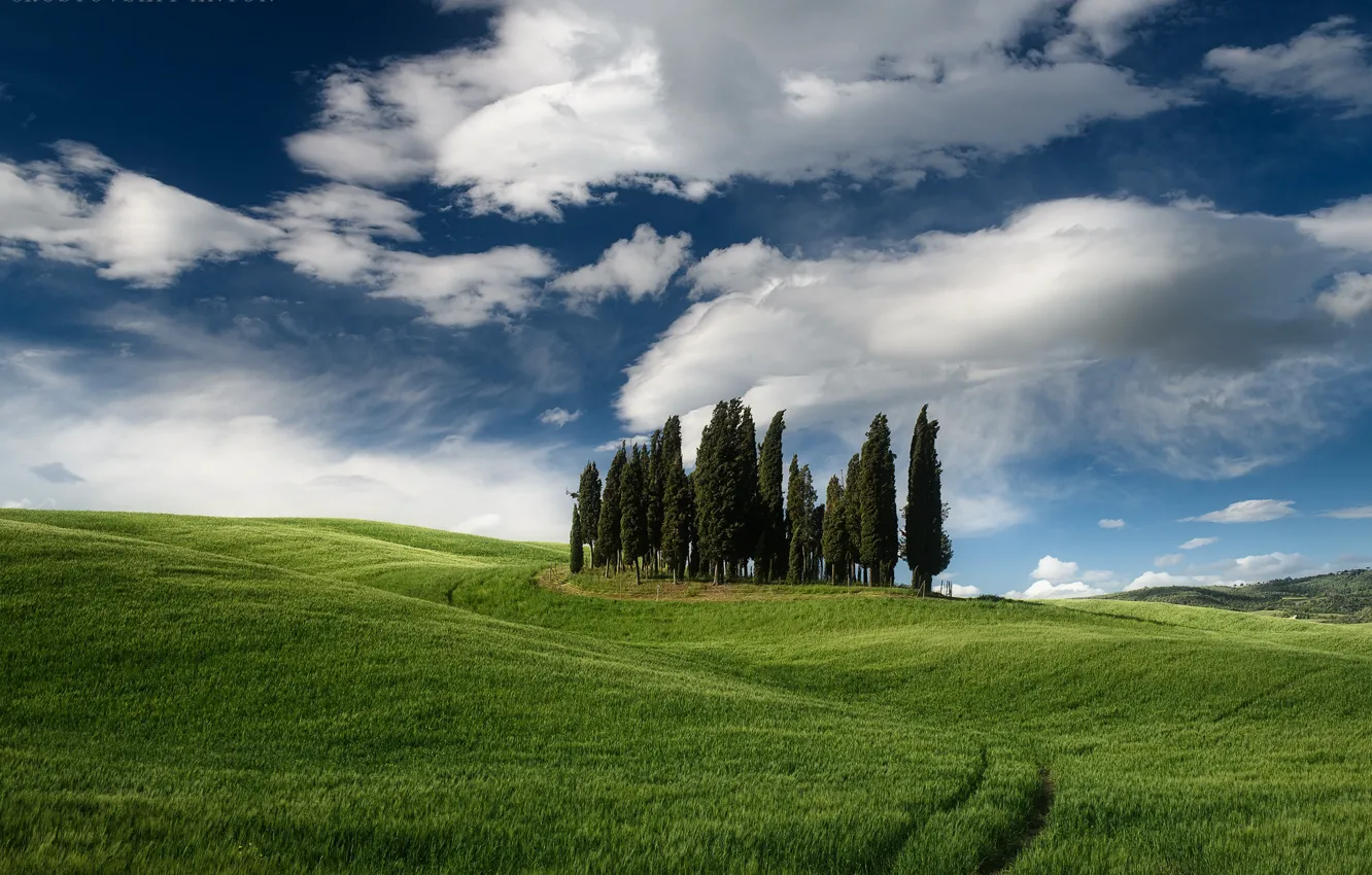 Photo wallpaper the sky, trees, valley, Italy, Tuscany, Rostov Anton