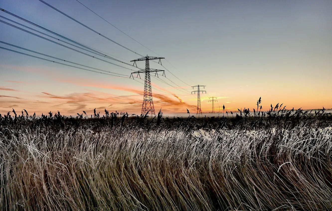 Photo wallpaper field, the sky, nature, morning, power lines