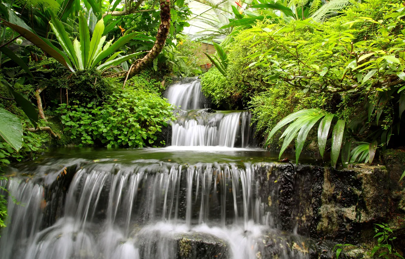 Photo wallpaper greens, leaves, trees, stream, stones, waterfall, cascade, the bushes