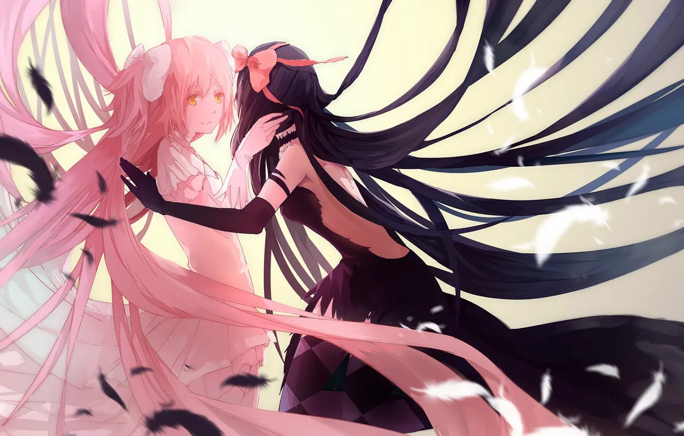 Photo wallpaper girls, anime, feathers, art, bow, mahou shoujo madoka magica, homura akemi, madoka kaname